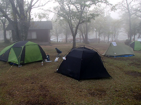 キャンプ場の朝